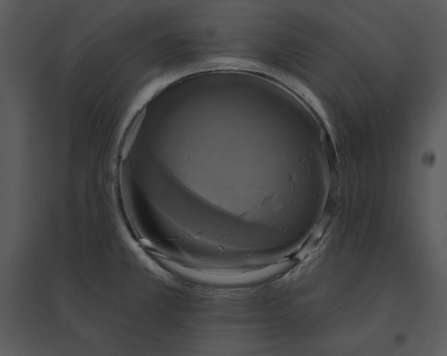 X0000095551381200801041322