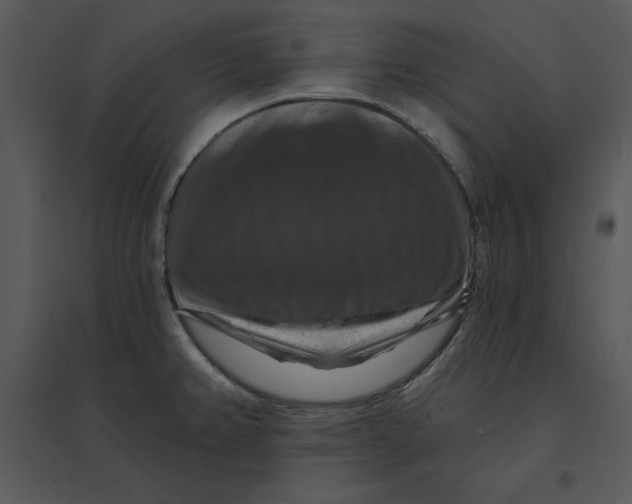 X0000095551382200801041322