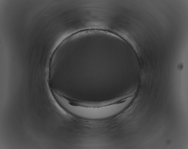 X0000095551383200801041322