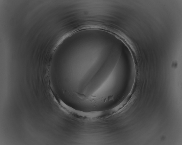 X0000095551385200801041321