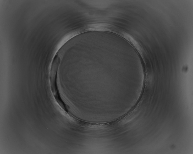 X0000095551386200801041321