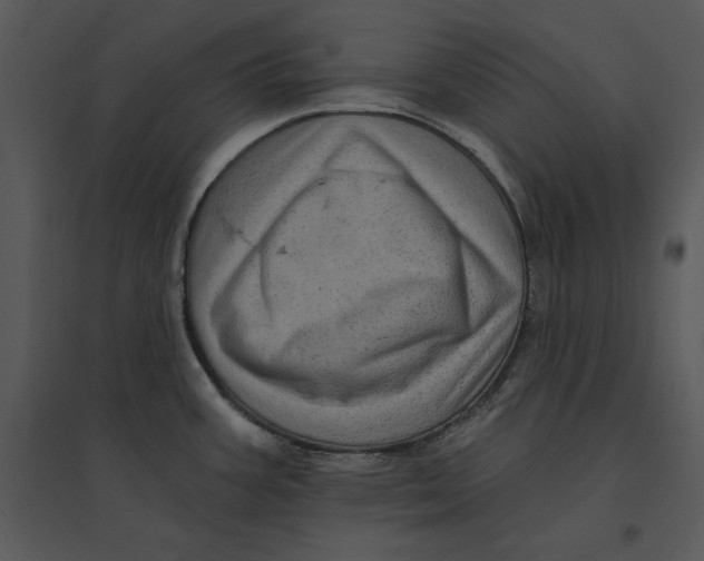 X0000095551387200801041321