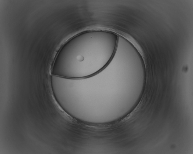 X0000095551388200801041321