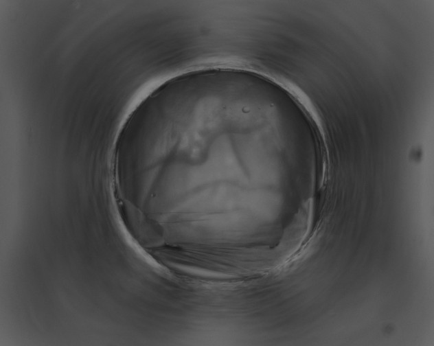 X0000095551389200801041321