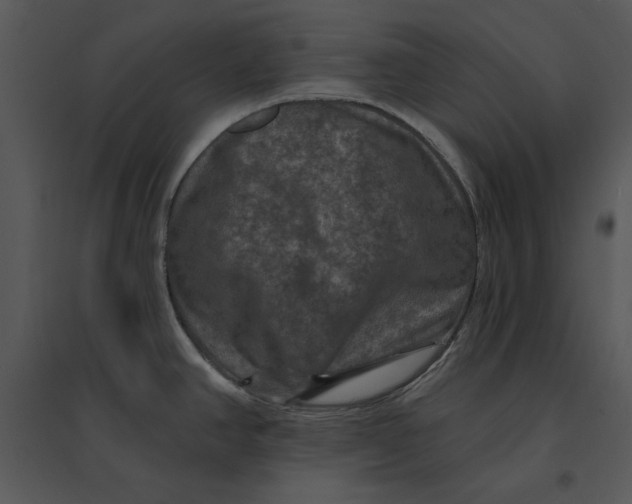 X0000095551390200801041321