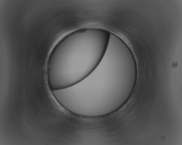 X0000095551392200801041321