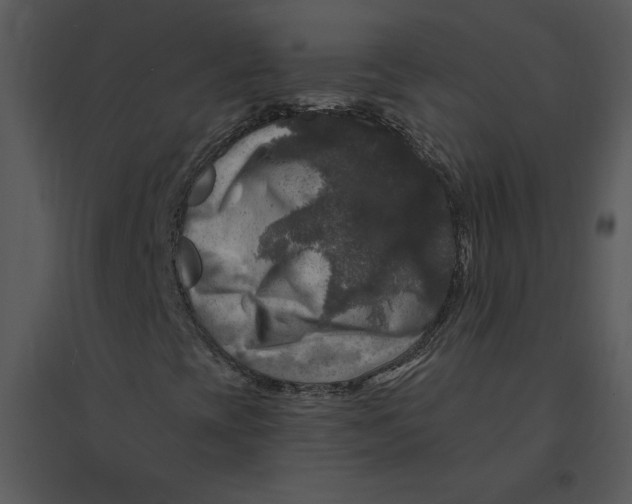 X0000095551393200801041321