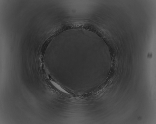 X0000095551394200801041321