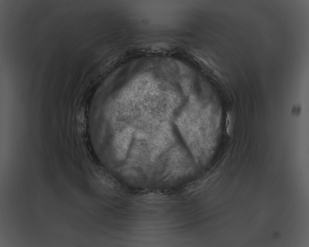 X0000095551395200801041321