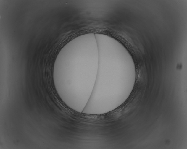 X0000095551396200801041321