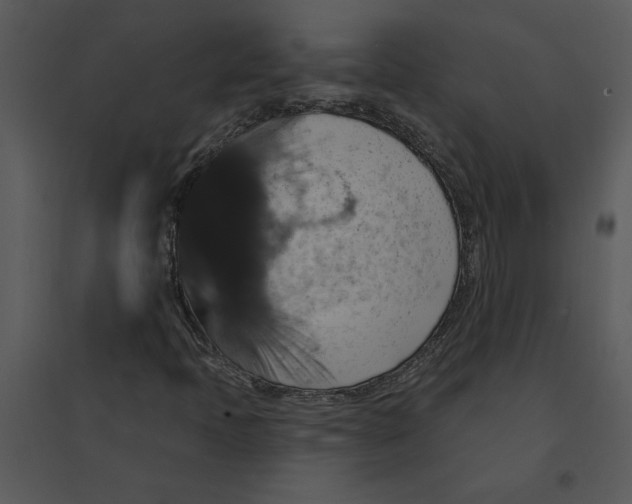 X0000095551397200801041321