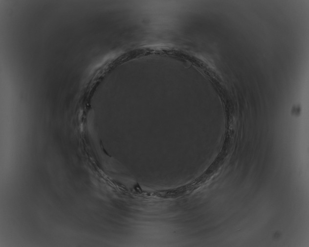 X0000095551398200801041321