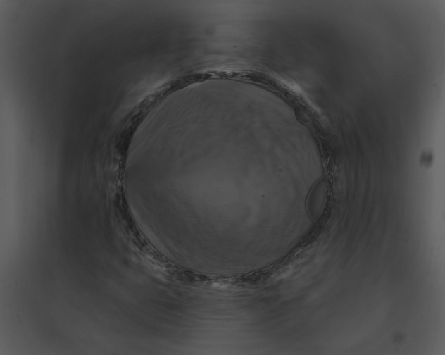 X0000095551399200801041321