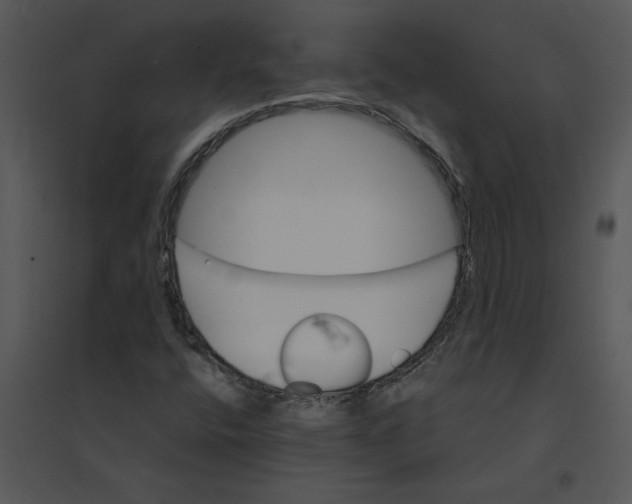 X0000095551400200801041321