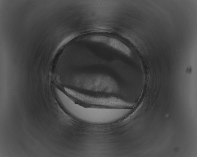 X0000095551402200801041321