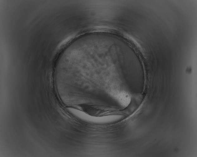 X0000095551403200801041321