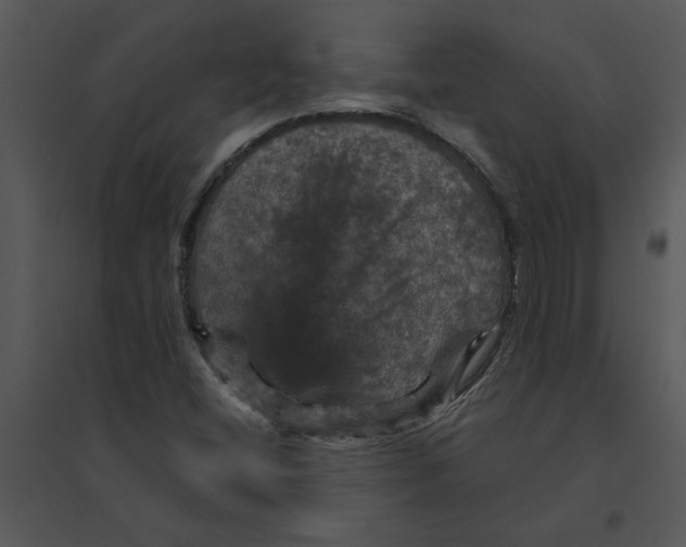 X0000095551404200801041321