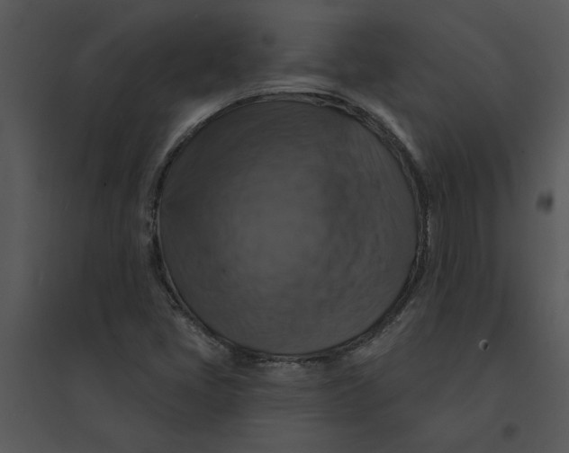 X0000095551405200801041321