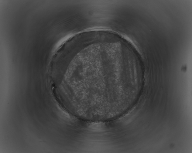 X0000095551406200801041321