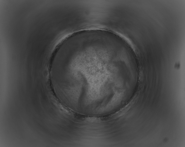 X0000095551407200801041321