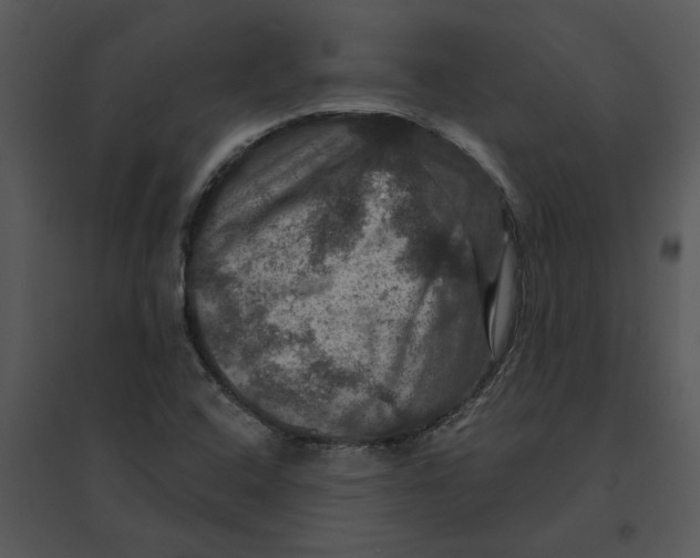 X0000095551408200801041321