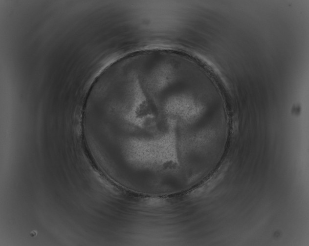 X0000095551409200801041321