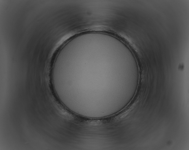 X0000095551410200801041321