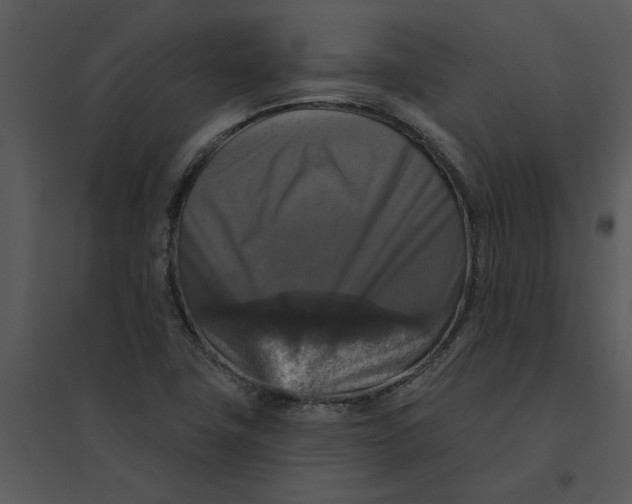 X0000095551411200801041321