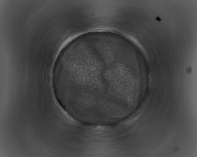 X0000095551412200801041321