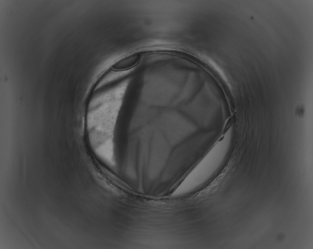 X0000095551413200801041321