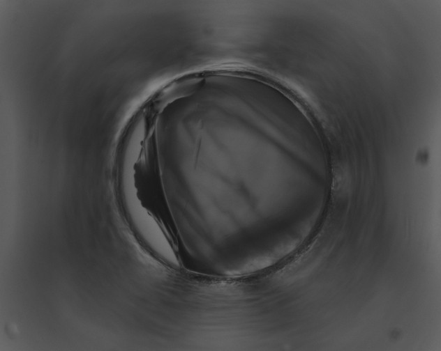 X0000095551414200801041321