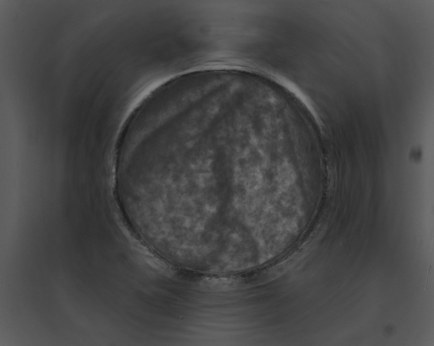 X0000095551415200801041321