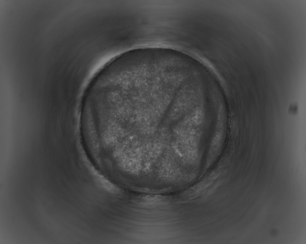 X0000095551416200801041321