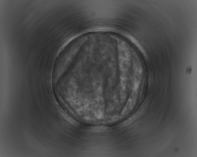 X0000095551417200801041321