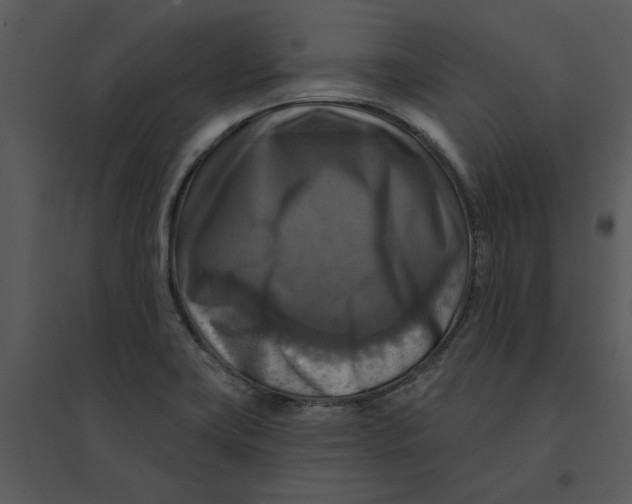 X0000095551419200801041321