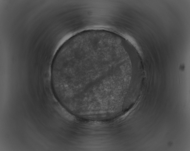 X0000095551420200801041321