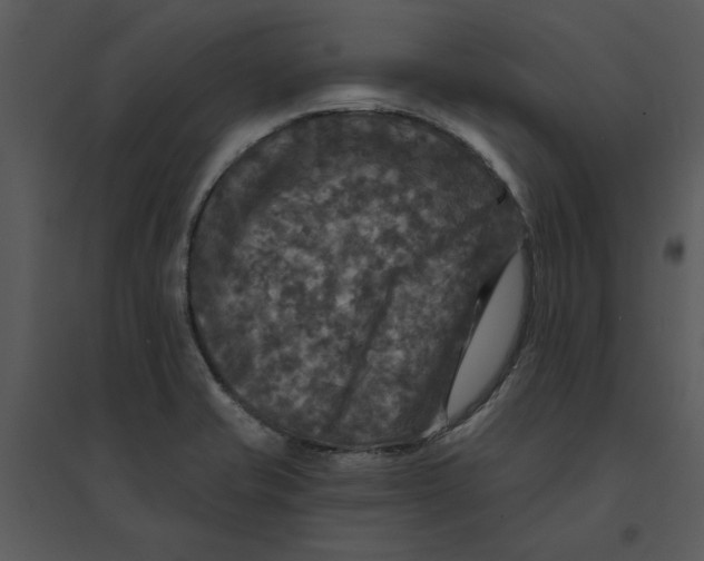 X0000095551421200801041321