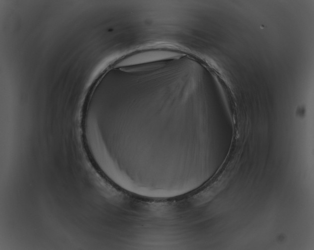 X0000095551422200801041321