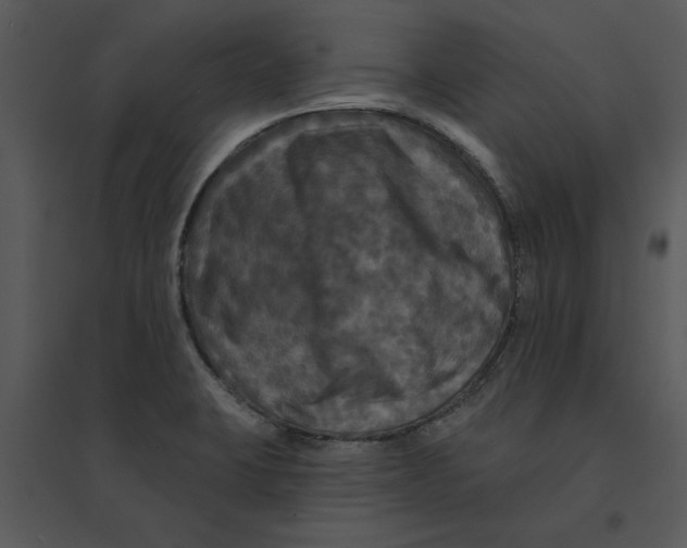 X0000095551423200801041321