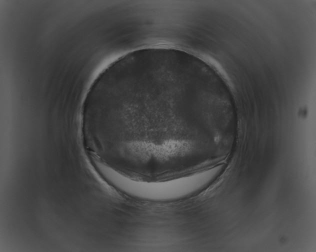 X0000095551424200801041321