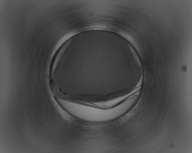 X0000095551426200801041321