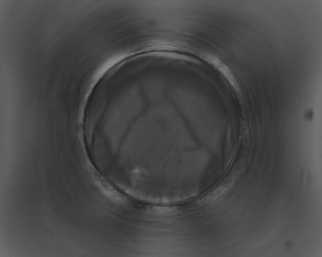 X0000095551427200801041321