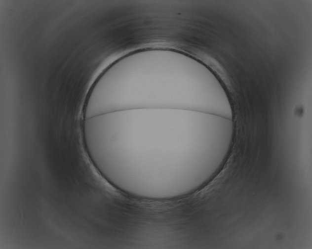 X0000095551428200801041321