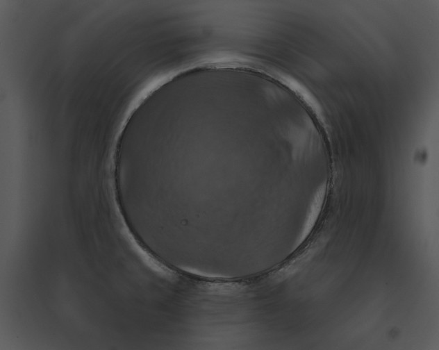 X0000095551429200801041321