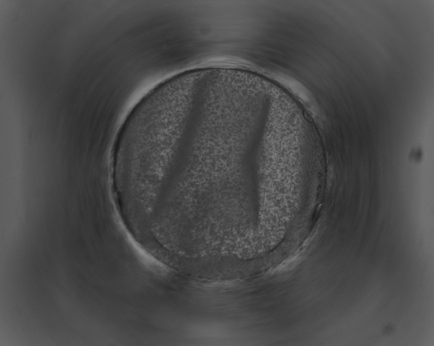 X0000095551430200801041321