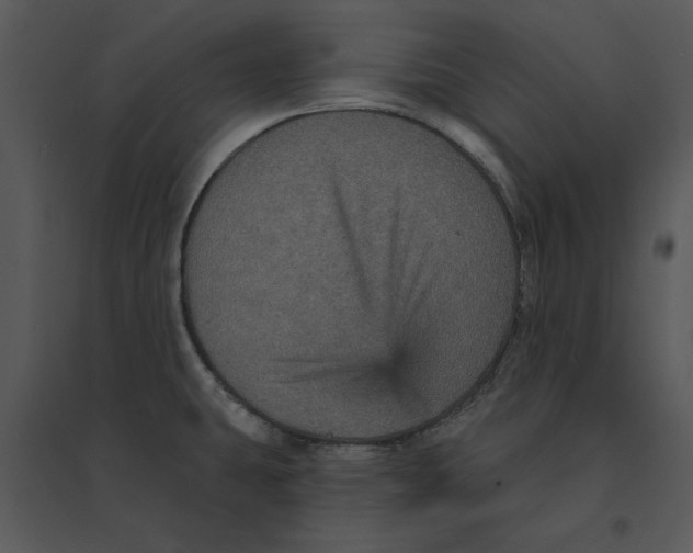 X0000095551431200801041321