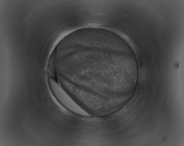 X0000095551432200801041321