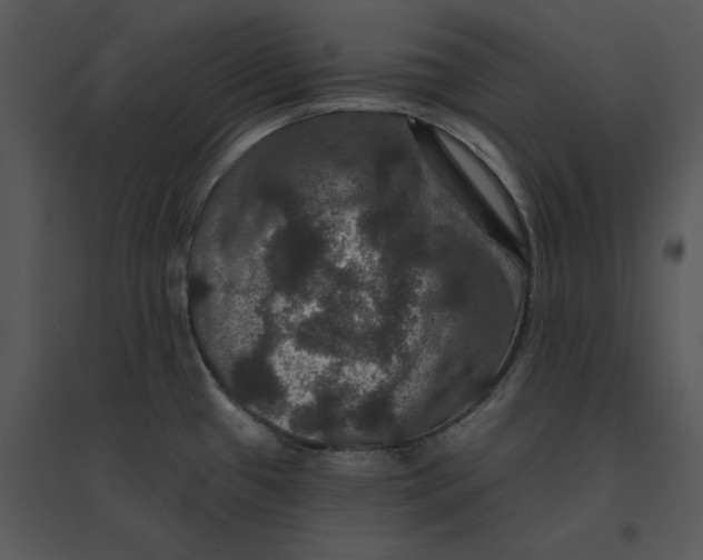 X0000095551433200801041321