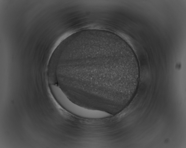 X0000095551434200801041321