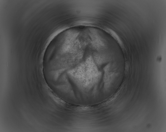 X0000095551435200801041321